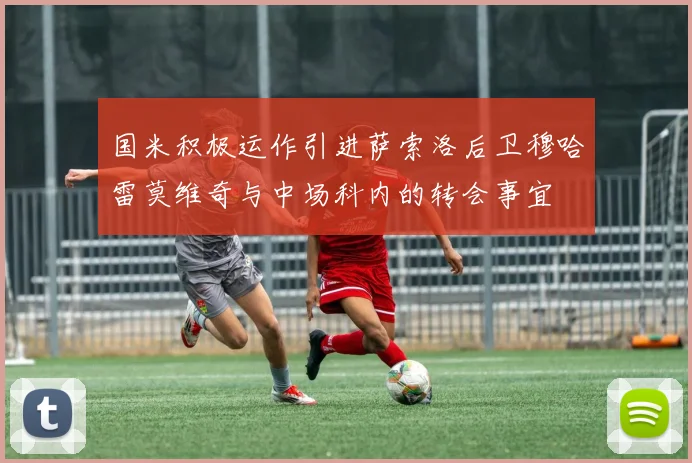国米积极运作引进萨索洛后卫穆哈雷莫维奇与中场科内的转会事宜