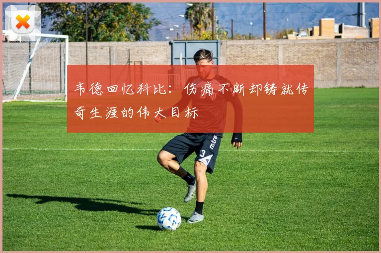 韦德回忆科比：伤痛不断却铸就传奇生涯的伟大目标